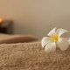 Image for article titled Two HIV Cases Linked to Spa That Gave Trendy 'Vampire Facials'